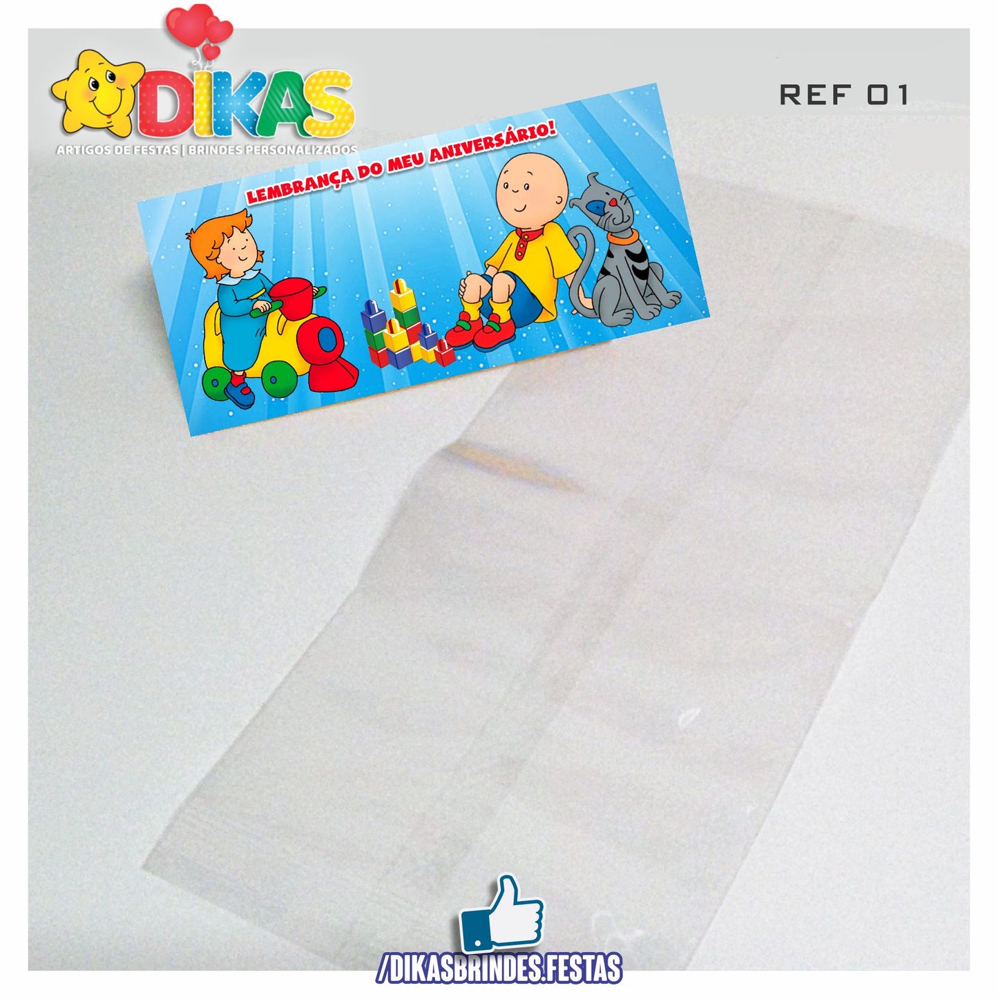 SACO PRENDA C/ TAG (6unid.) - RUCA