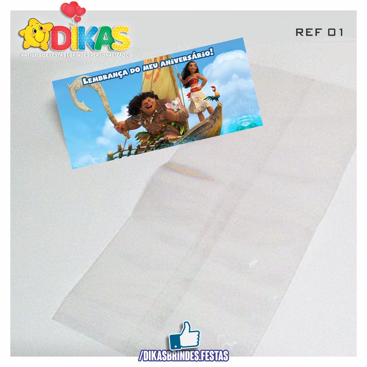 SACO PRENDA C/ TAG (6unid.) - VAIANA