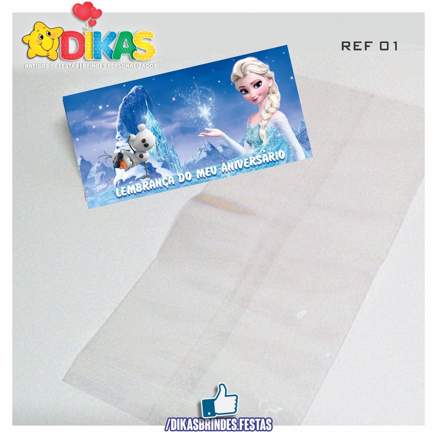 SACO PRENDA C/ TAG (6unid.) - FROZEN